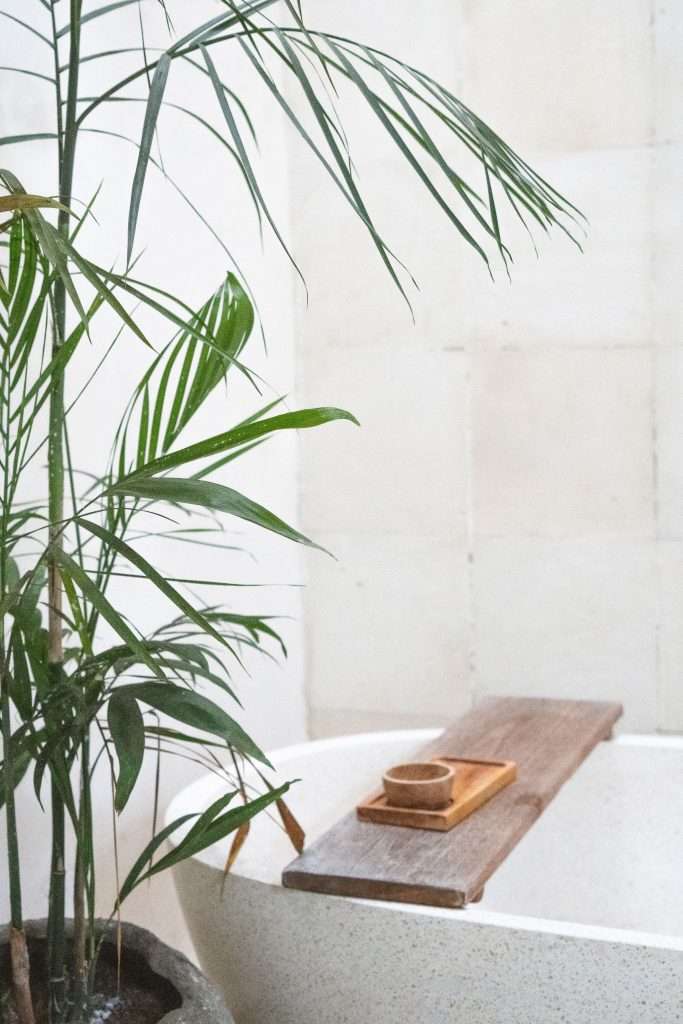 what is clean beauty, what does clean beauty mean